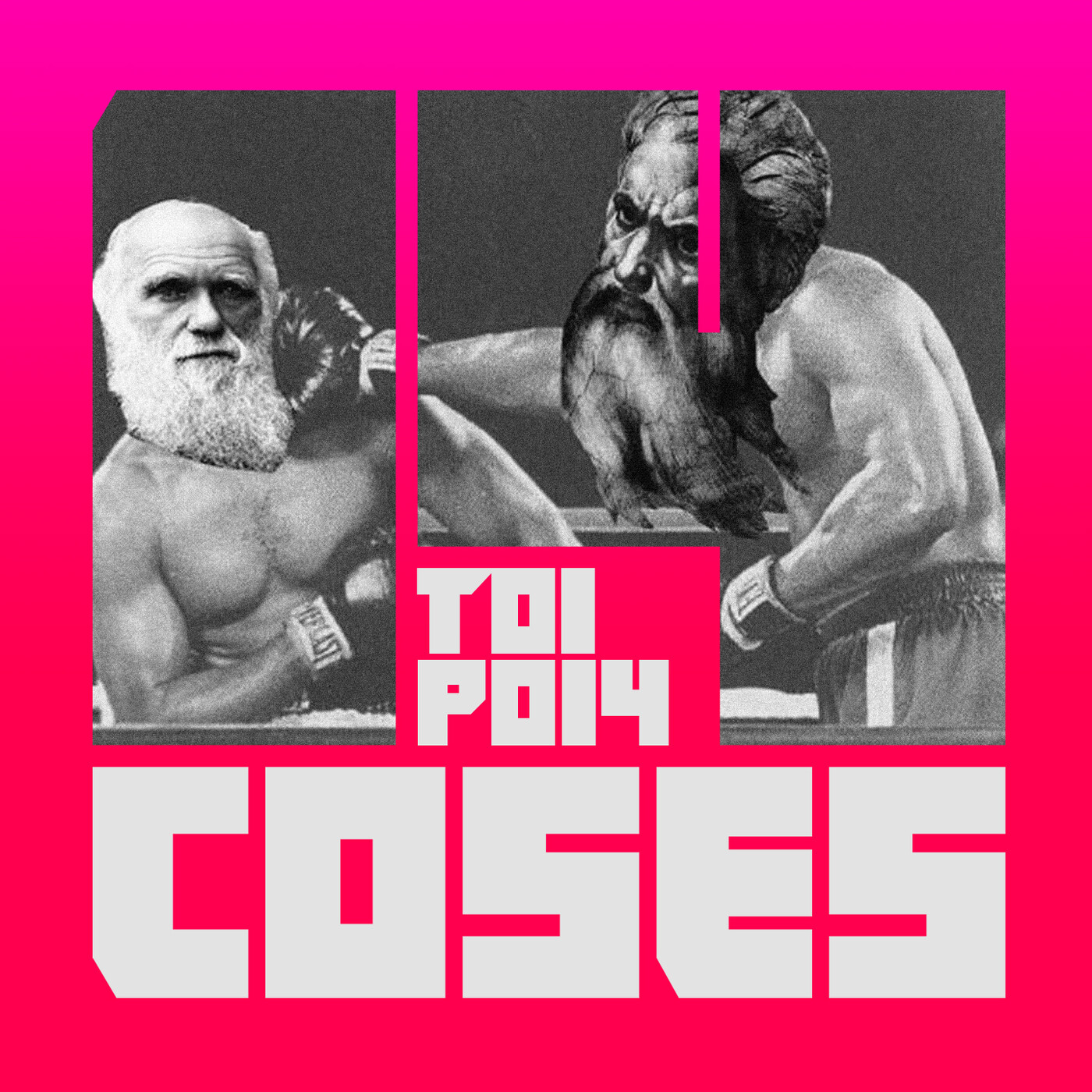 14 COSES