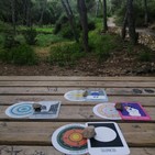 Alquimia interior para diciembre 2019