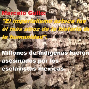 embed image