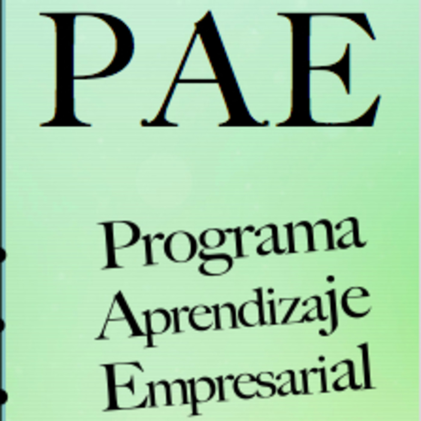 PROGRAMA DE APRENDIZAJE EMPRESARIAL - P.A.E