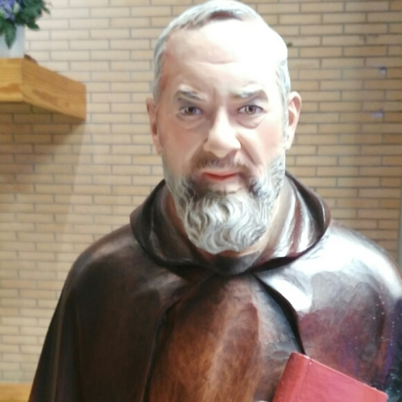 Grupo Oracion Padre Pío Nuestra Señora del Rosario