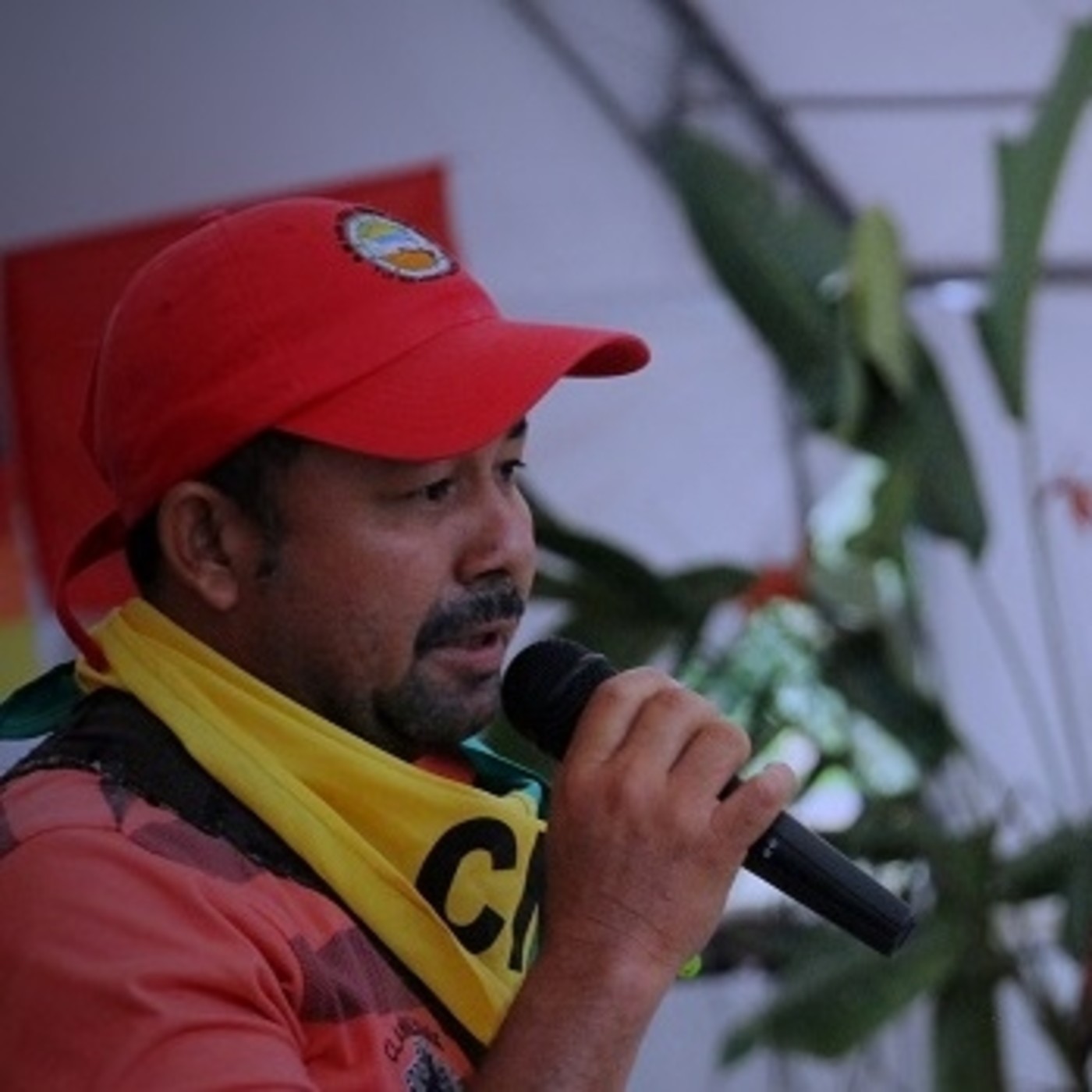 Pronunciamientos  Movimiento Social
