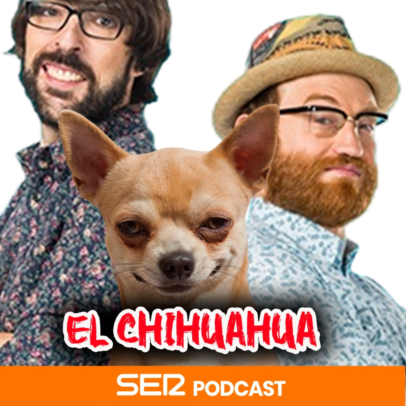 Semental Chihuahua