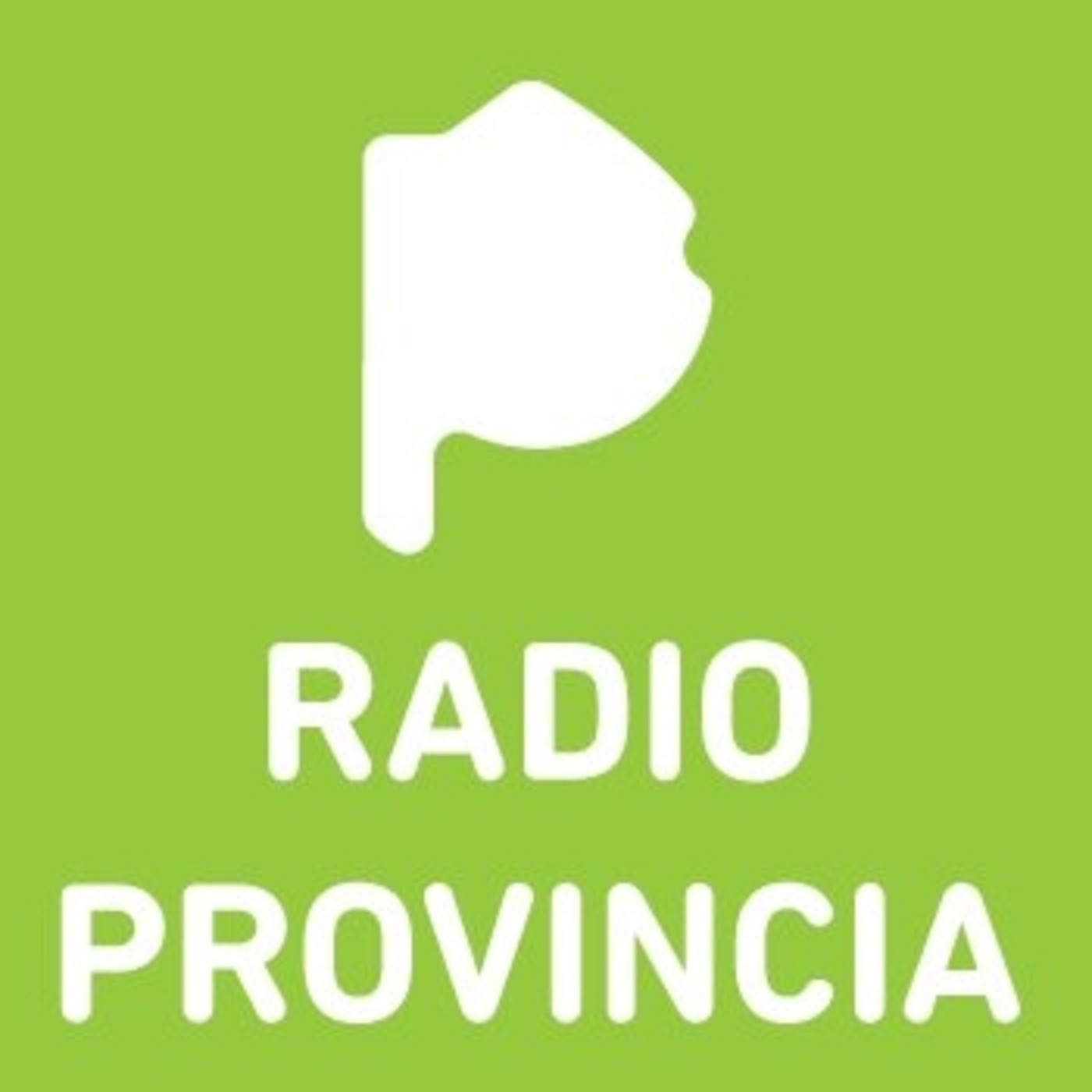 Radio Provincia 04_01_2016