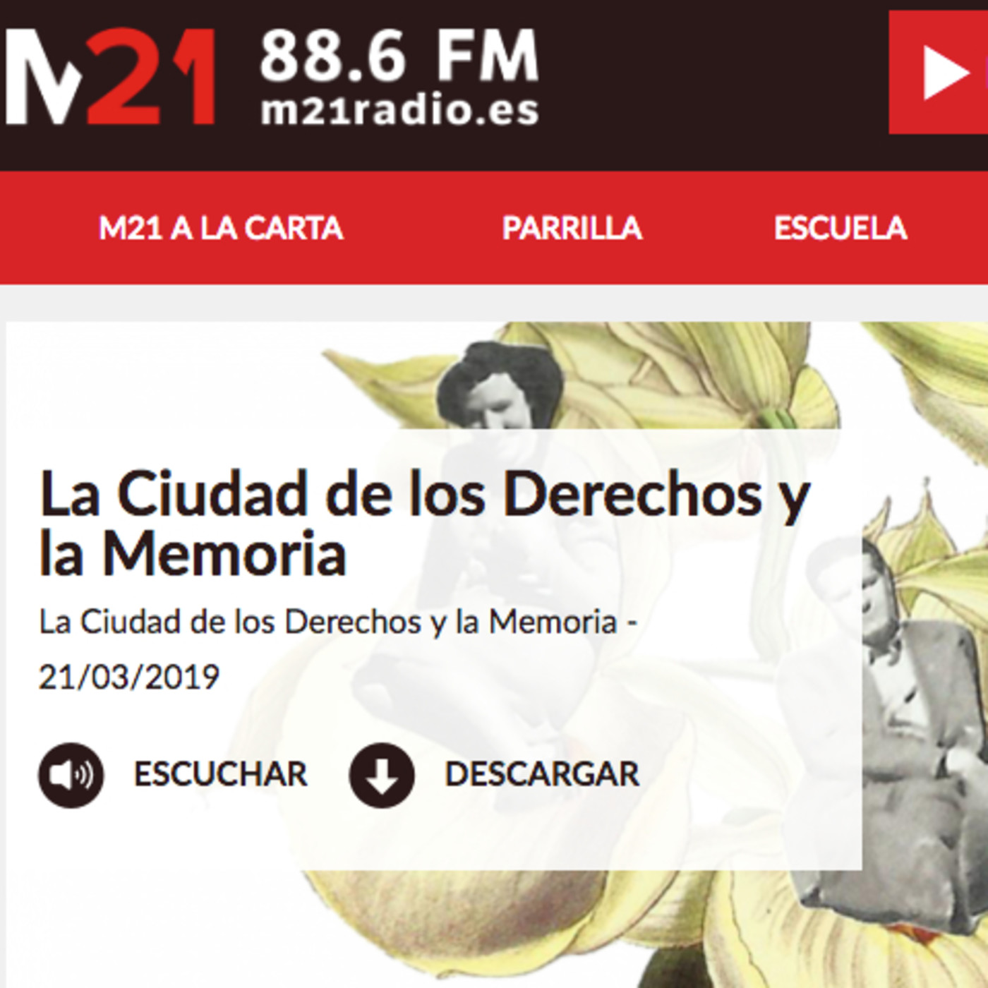 Comunicación PcD
