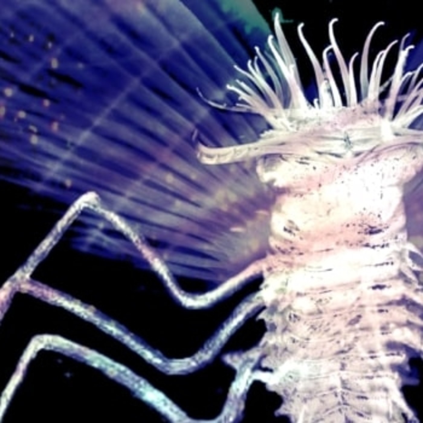 Fungos de Yuggoth