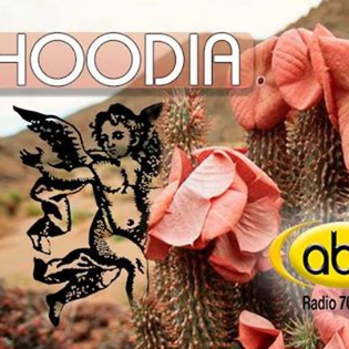 EL ÁNGEL DE TU SALUD- Rodrigo Mondragón - HOODIA