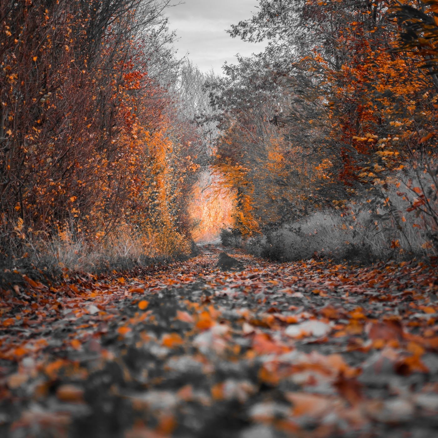 Porque también somos lo que no nos perdonamos.