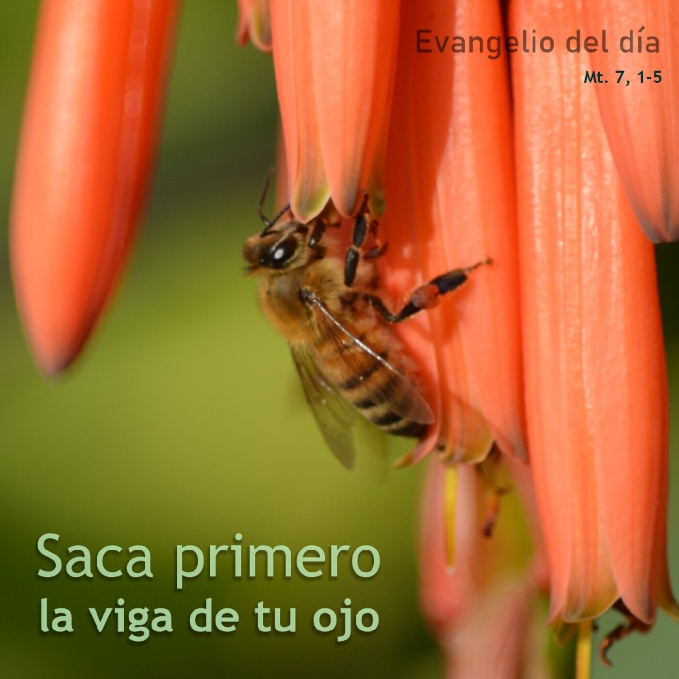 22 de junio de 2020