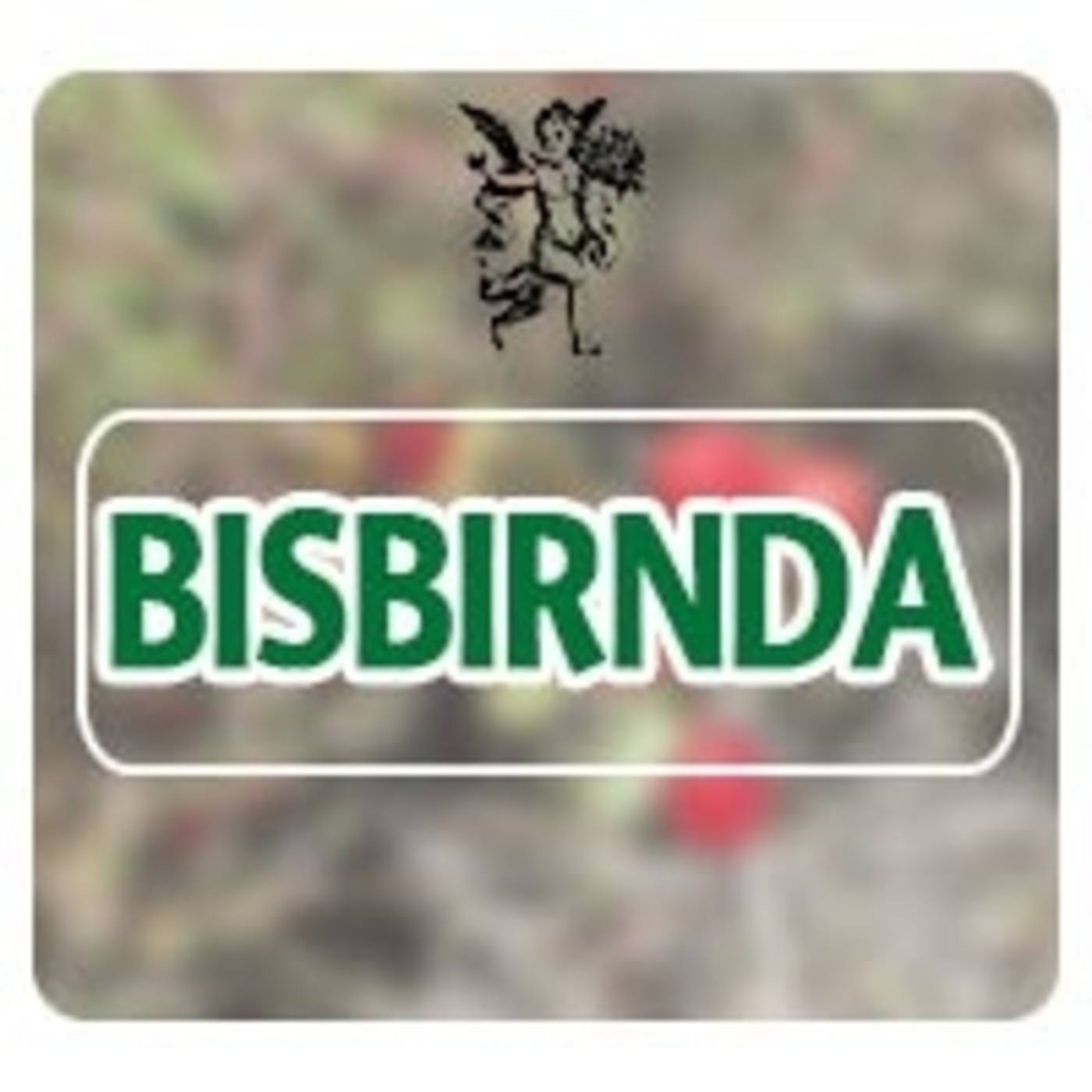 El Angel de tu Salud - BISBIRINDA* episode artwork
