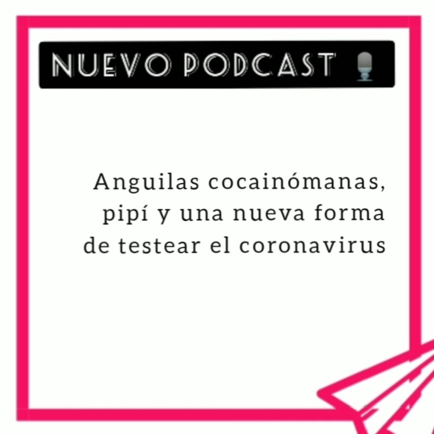 Pirlutravel