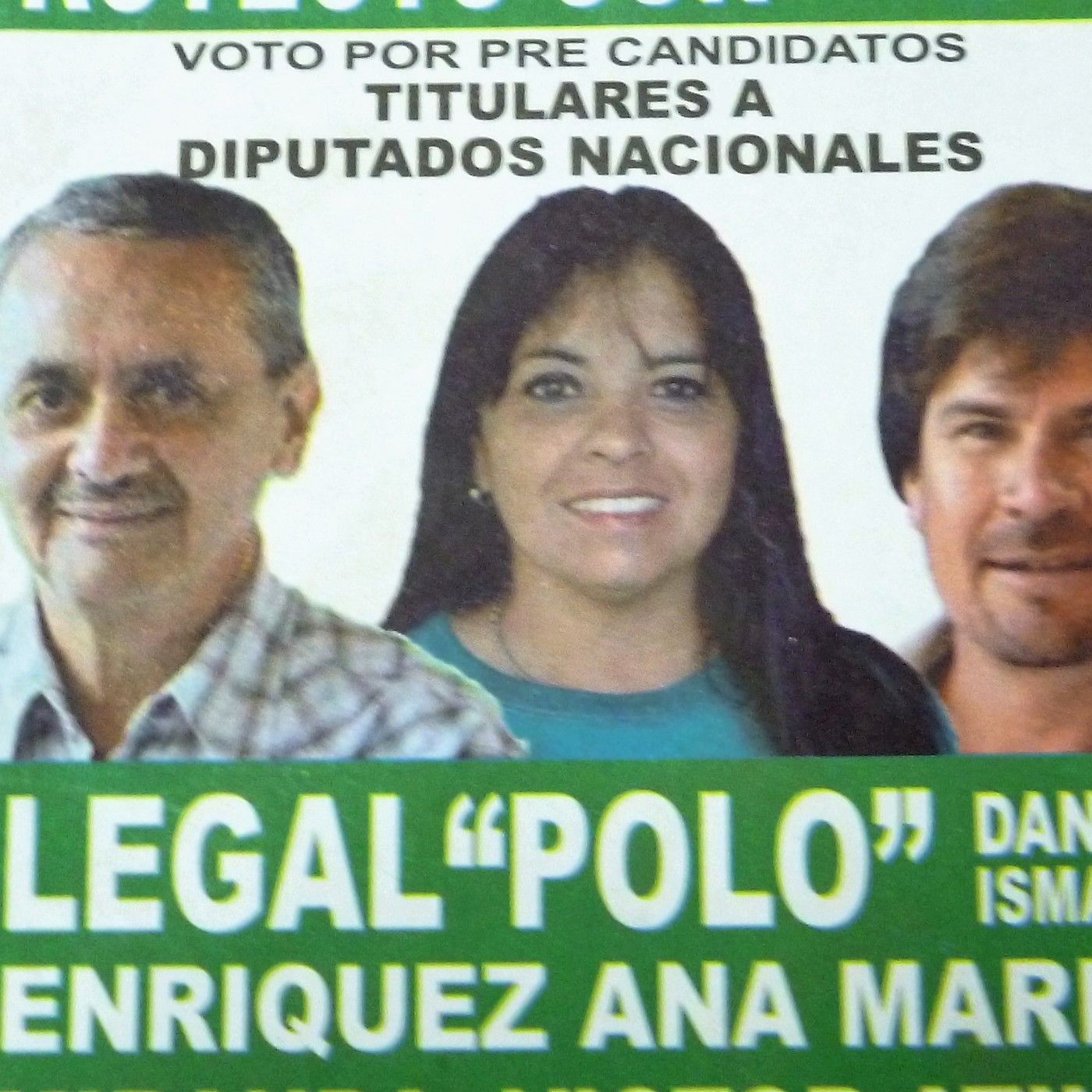 POLO LEGAL DIPUTADO NACIONAL PASO nacional 2017