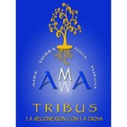 Convocatoria TRIBUS DE AMMA