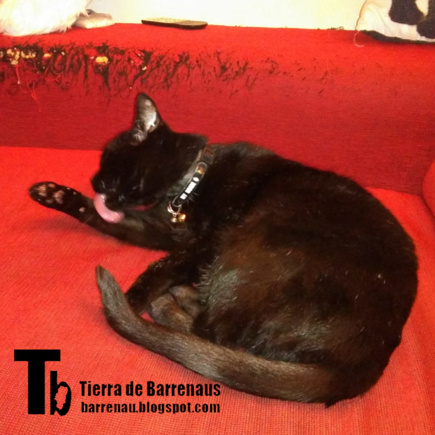 Tierra de varrenadas