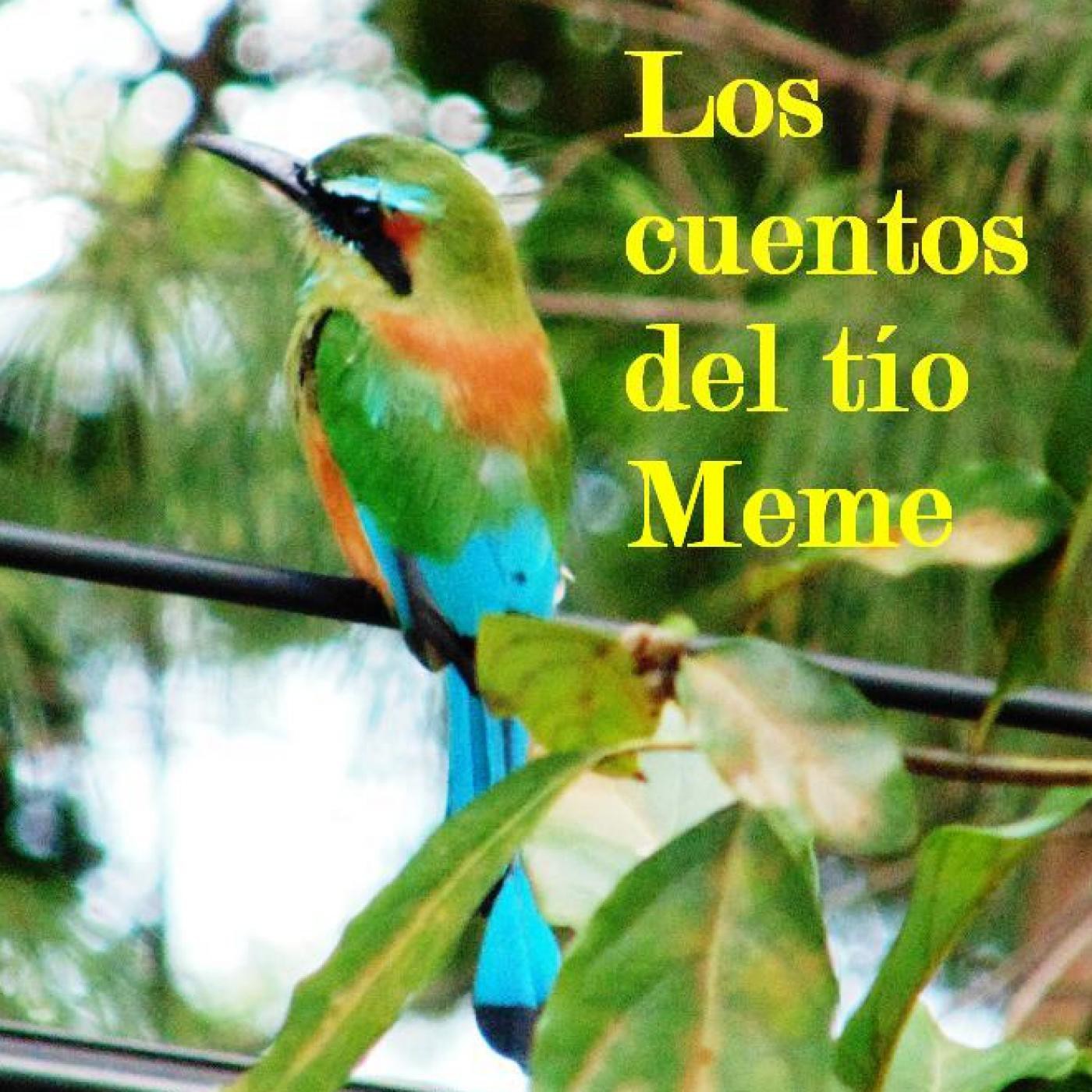 LOS CUENTOS DEL TÍO MEME