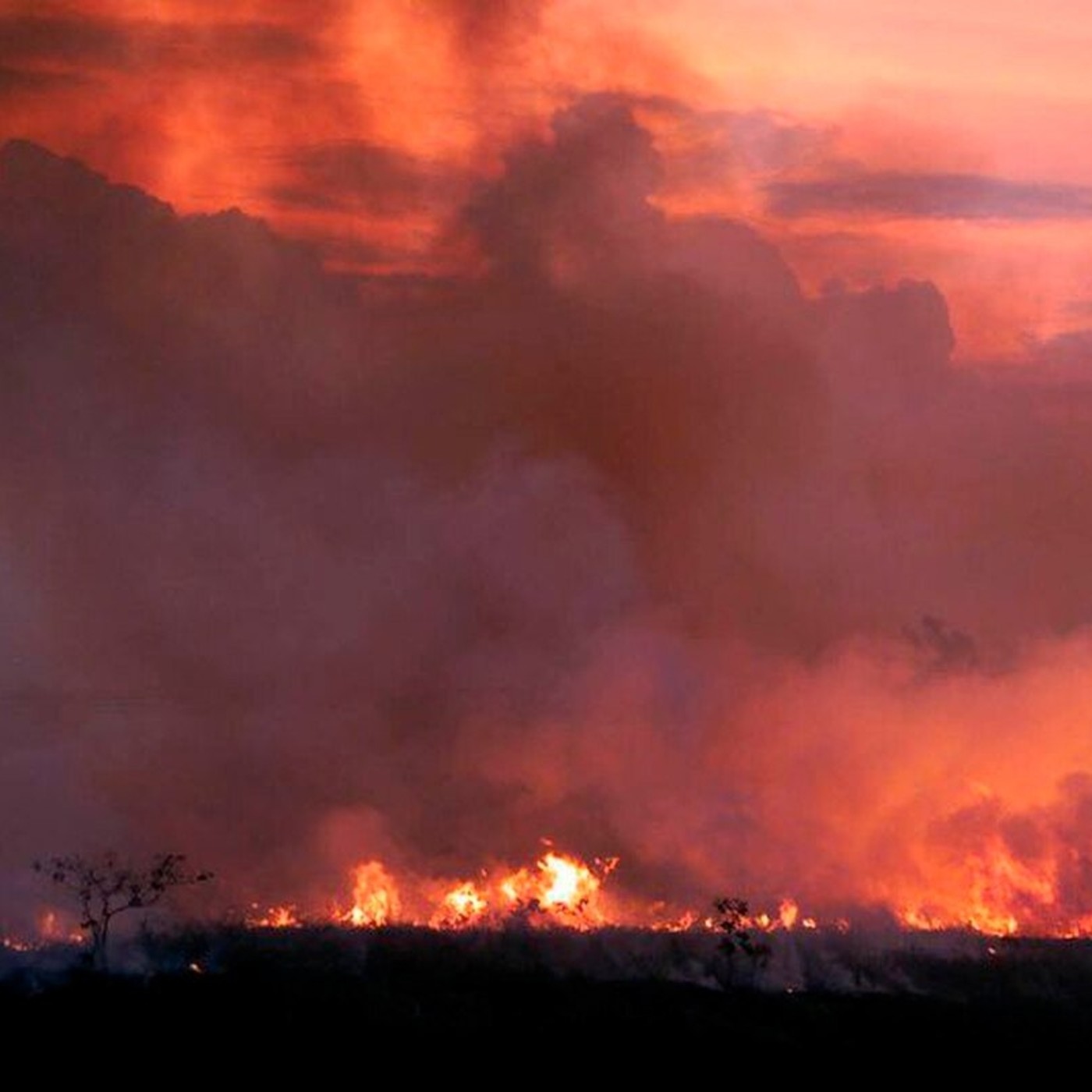 Incendios forestales en la Amazonia Incendios forestales en la Amazonia