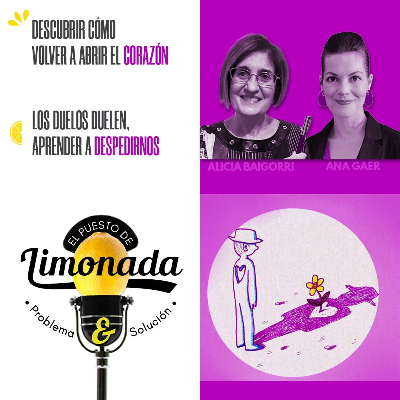 El Puesto de Limonada de P&S - Problema y Solución