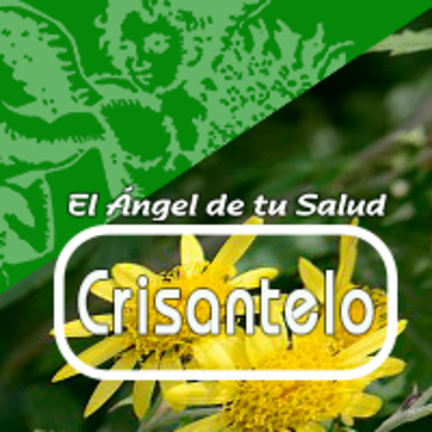 El Angel de tu Salud - CRISANTELO*
