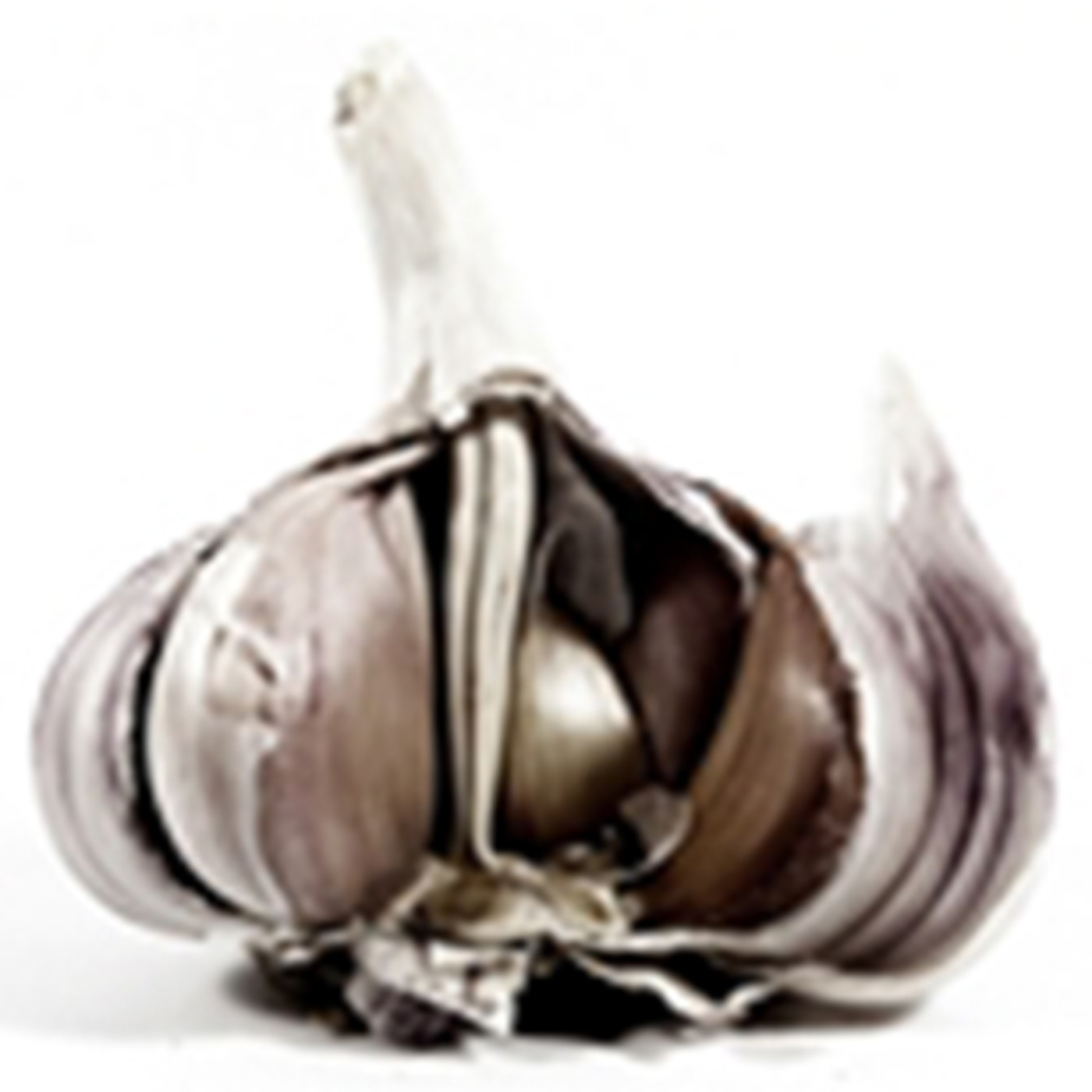 ANSÓNMIÙSIK, El Último Loco