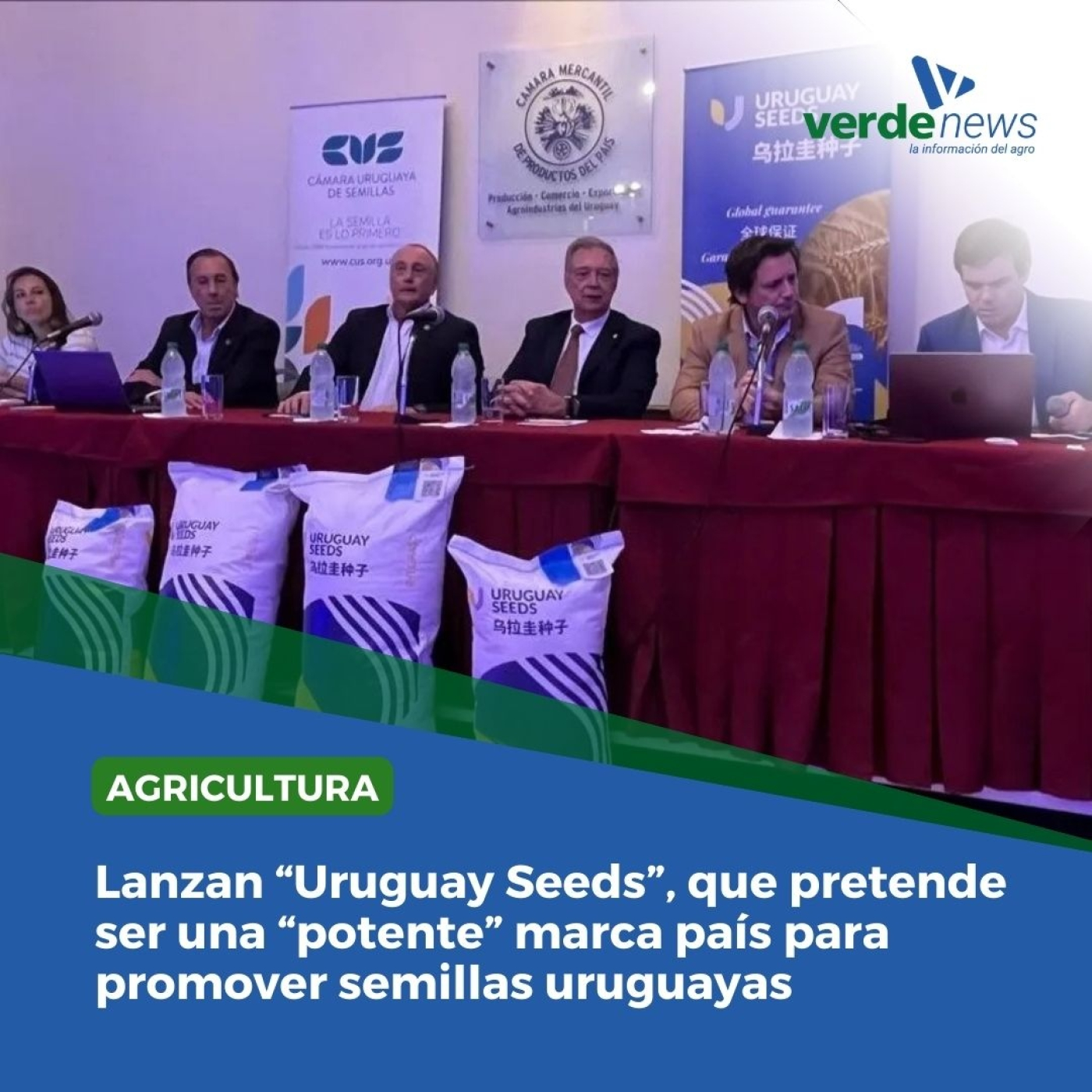 verdemedia