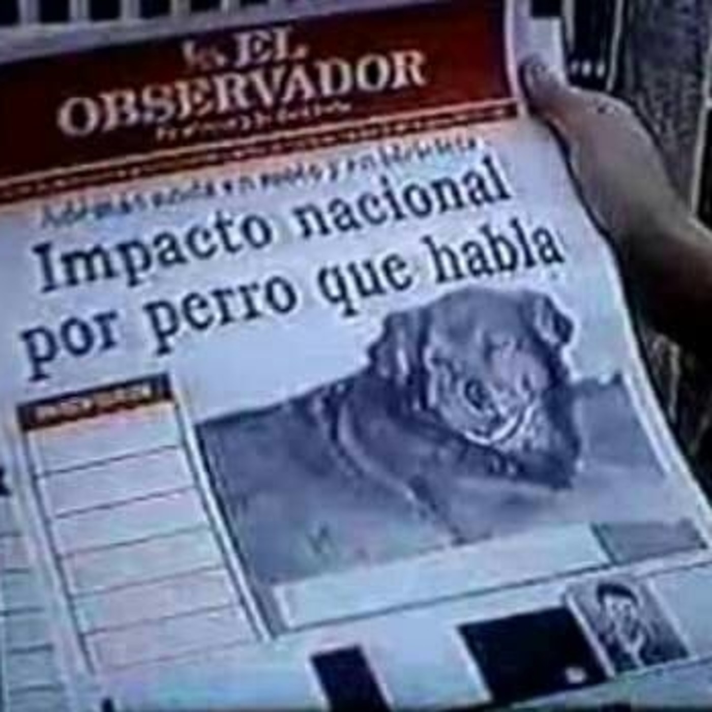 El Búho nocturno