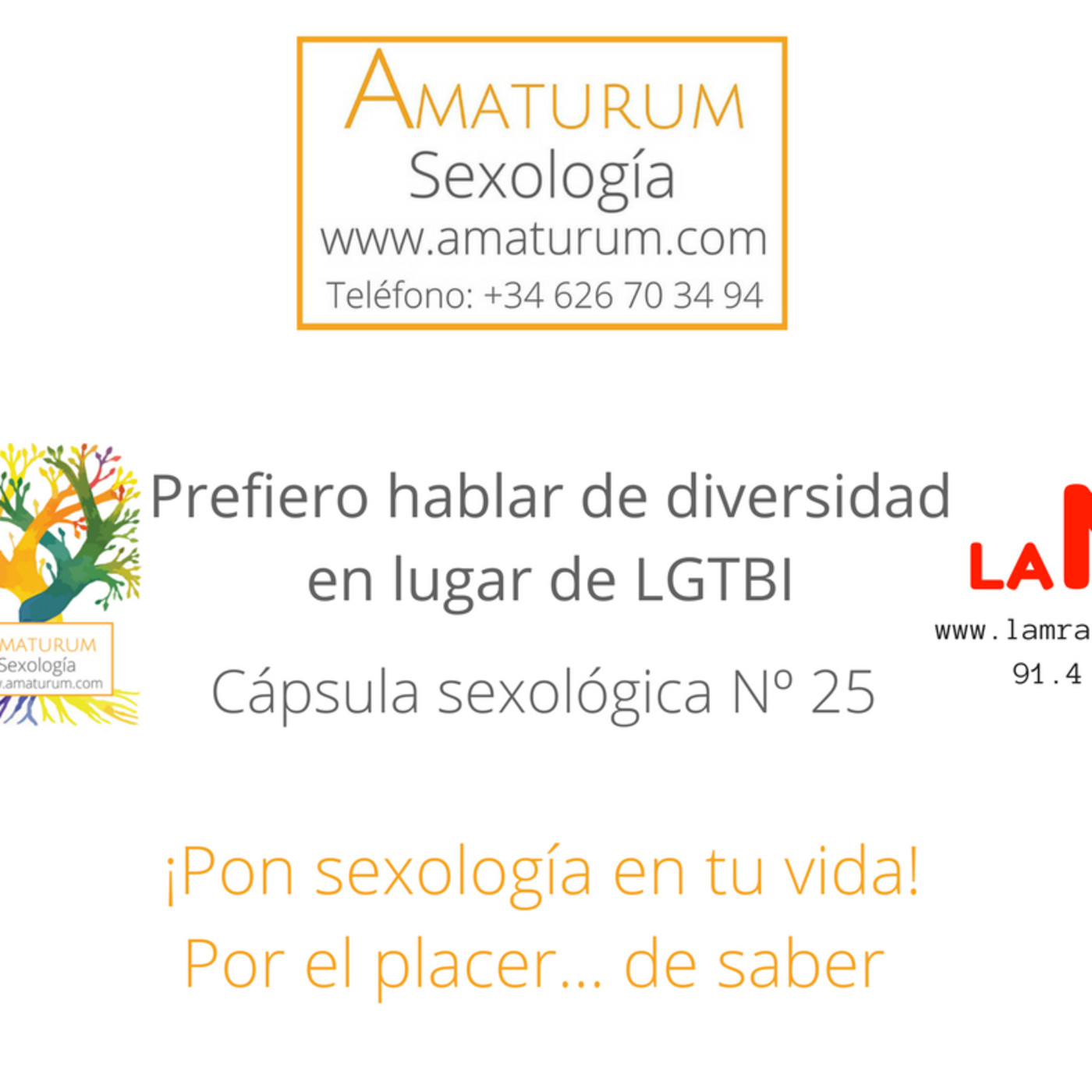 Prefiero hablar de diversidad sexual en lugar de LGTBI episode artwork