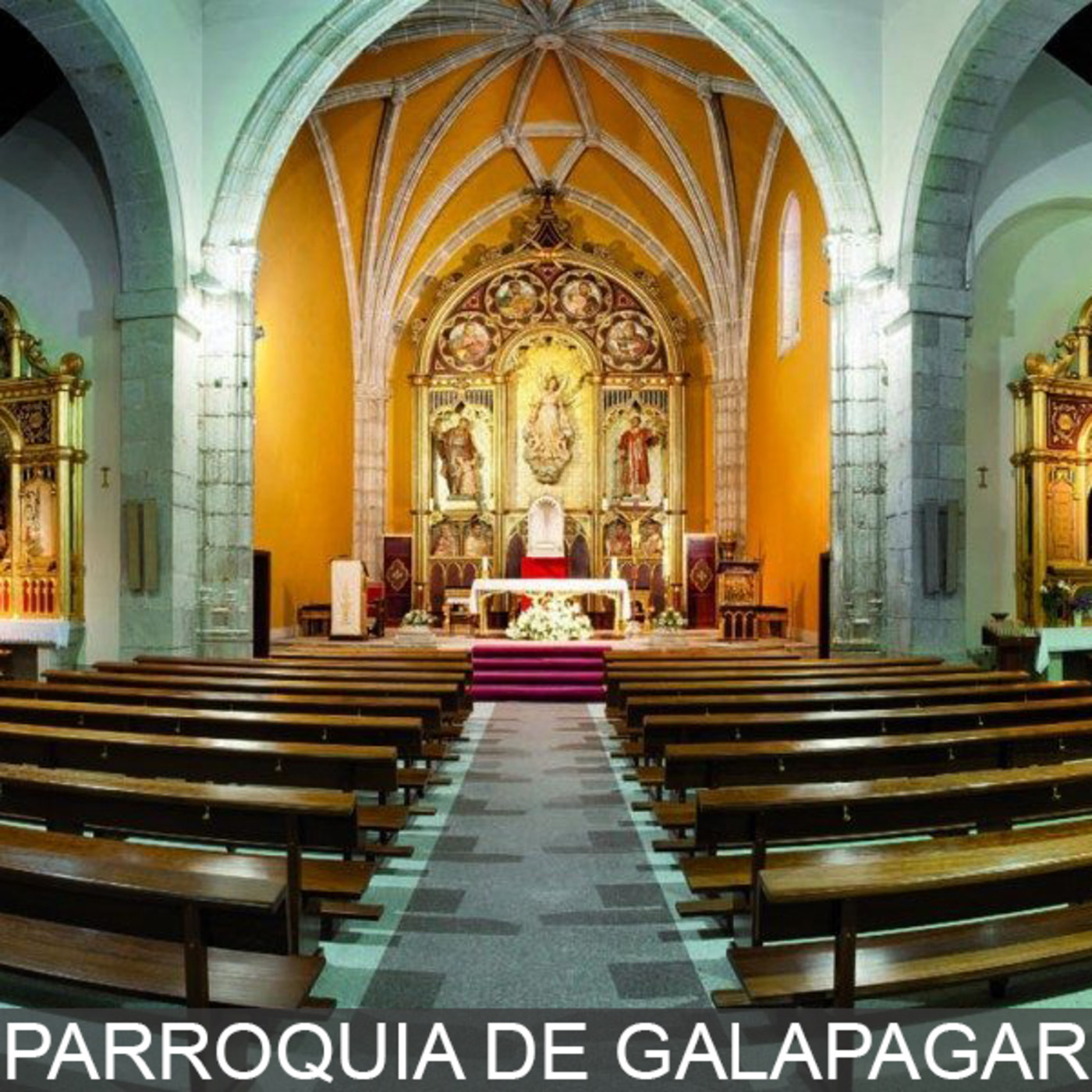 Galapagar Futuro