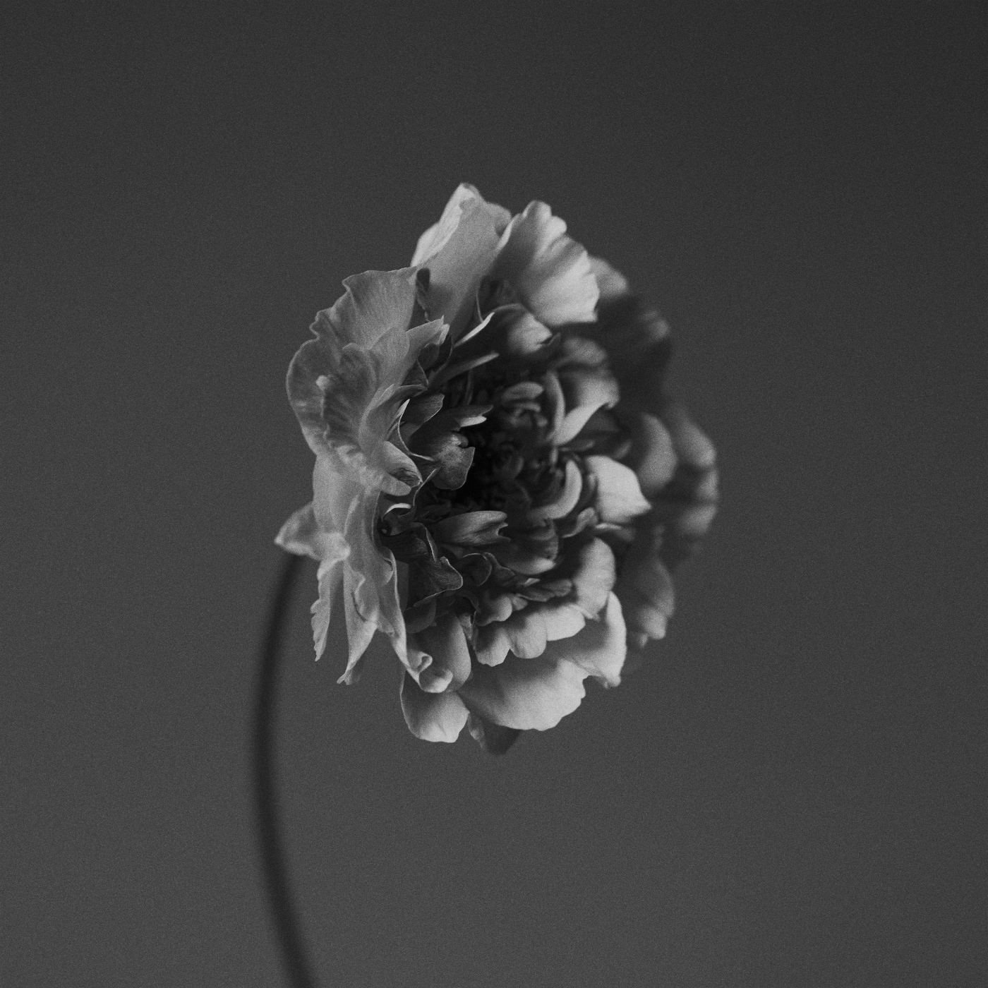 NAO YOSHIOKA - You Got To Feel It. episode artwork