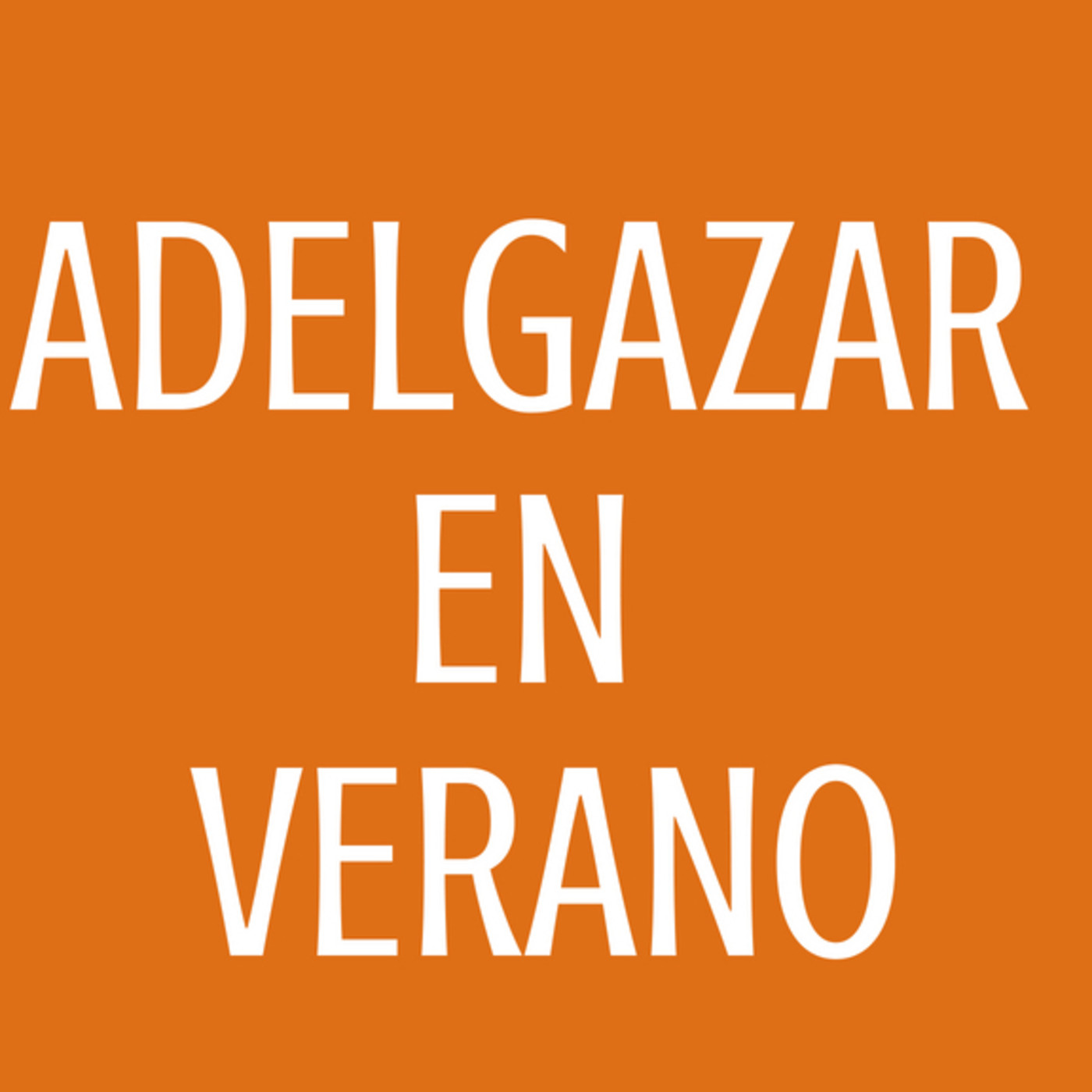 Mis dietas para adelgazar