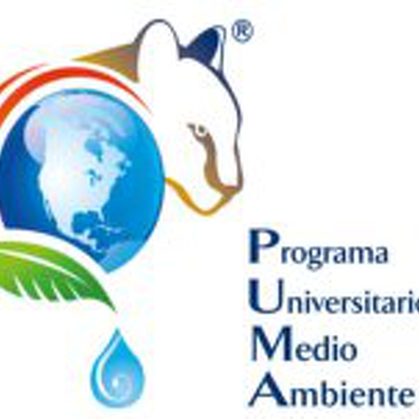 #AmbientePUMA