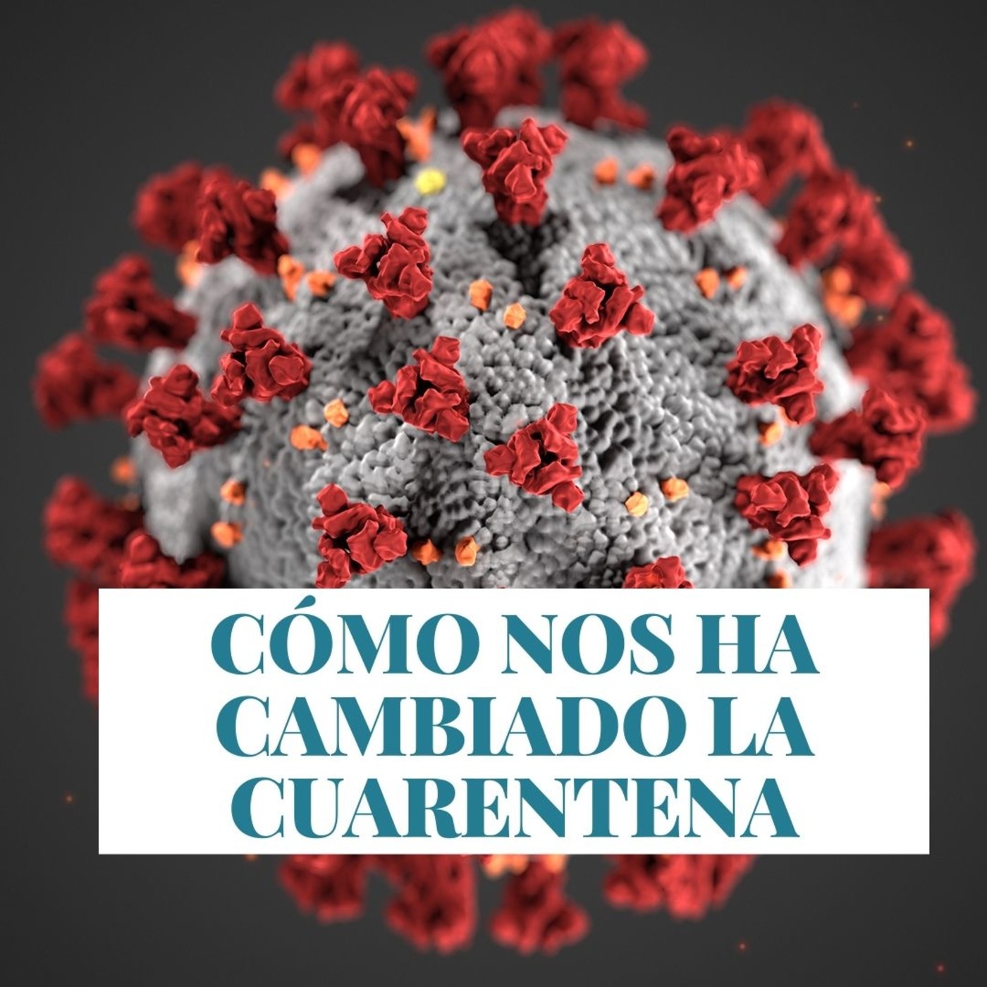 cómo nos ha cambiado la cuarentena