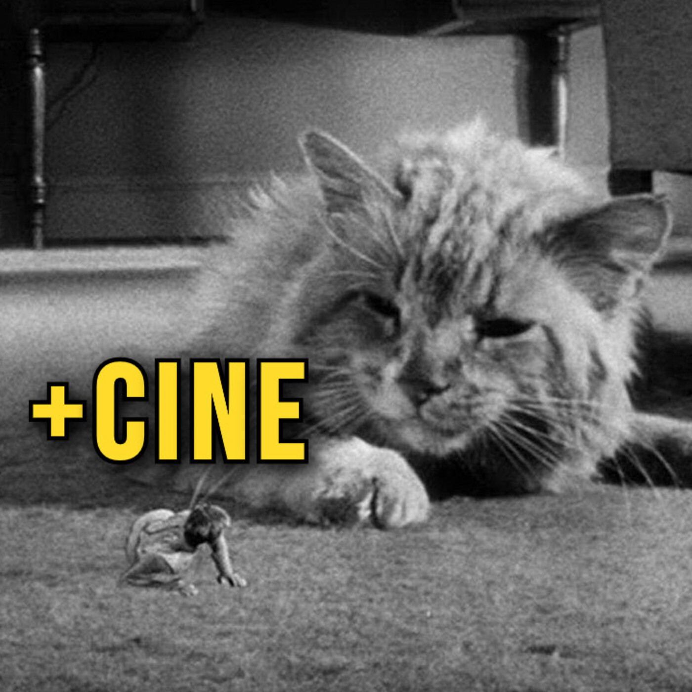 +CINE - Más Cine