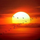 El sol