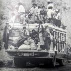 embed image