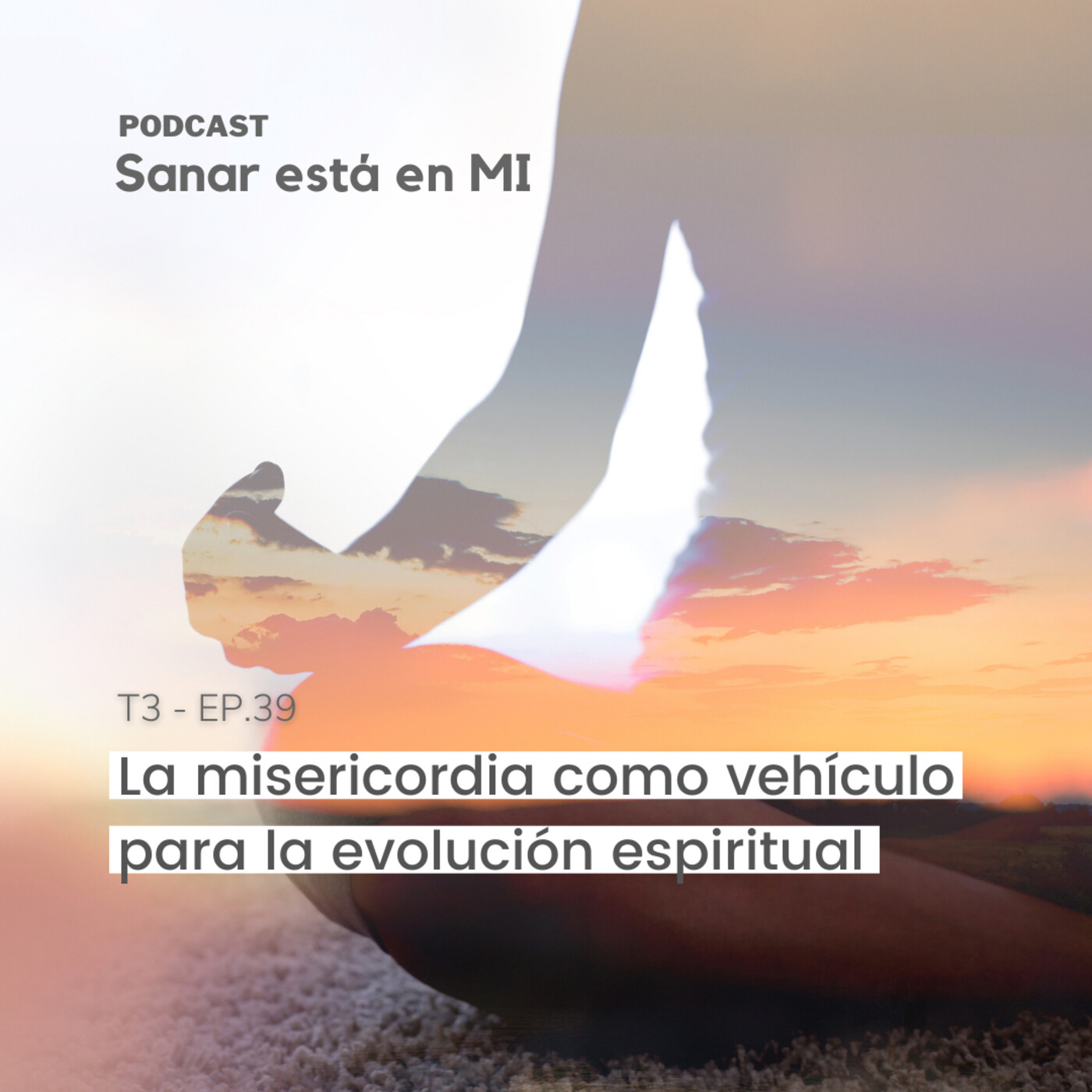 La misericordia como vehículo para la evolución espiritual T3 - EP.39 episode artwork