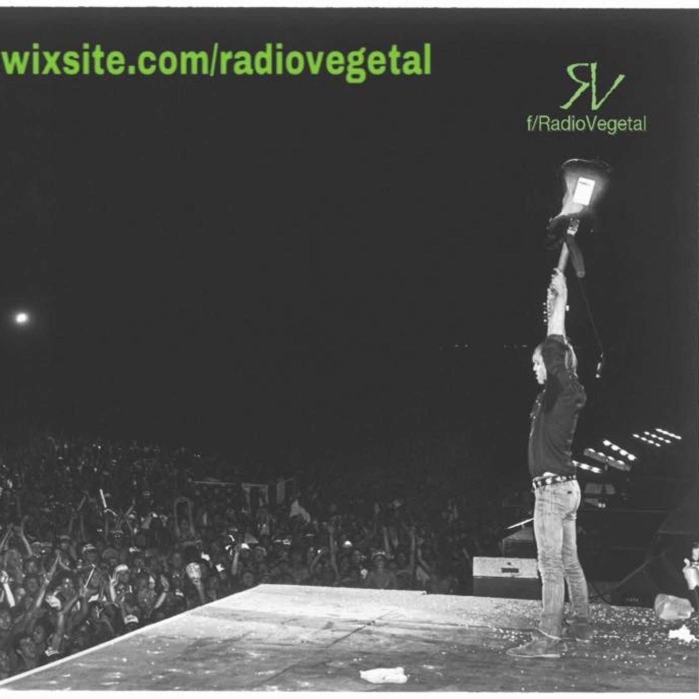 Barra de programas de Radiovegetal