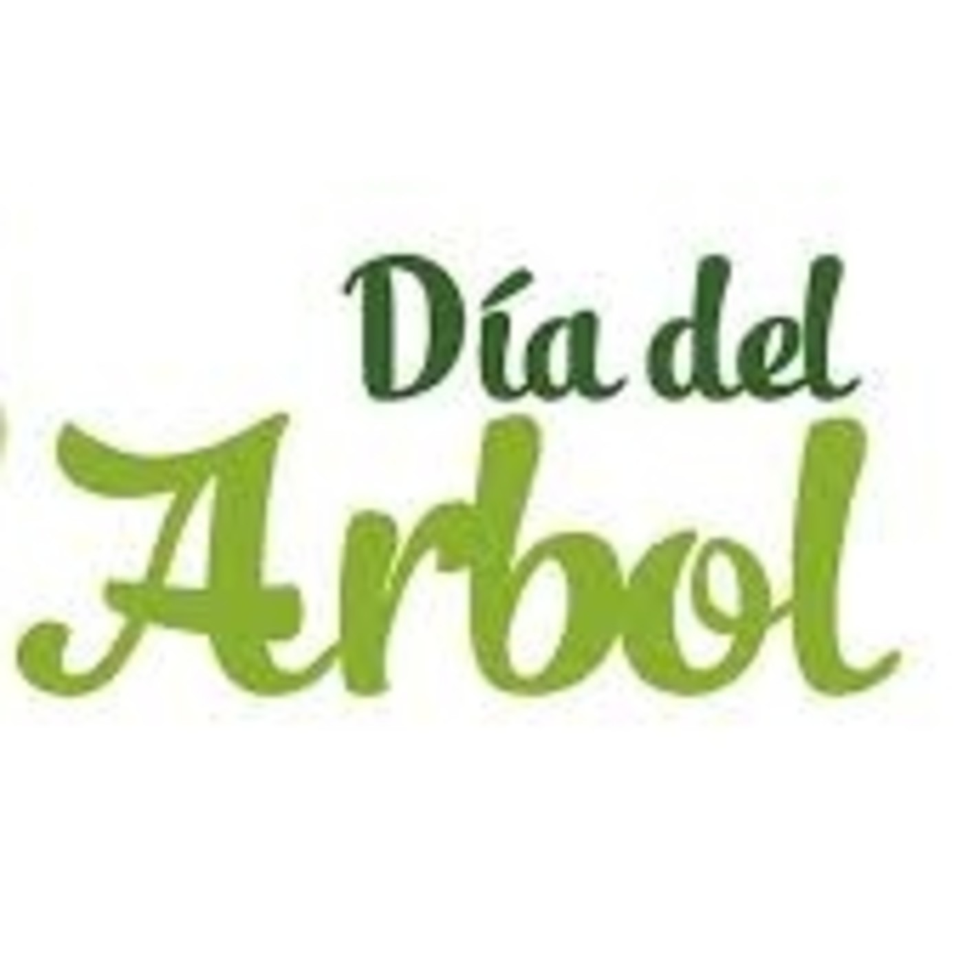 La voz de CAUSAY