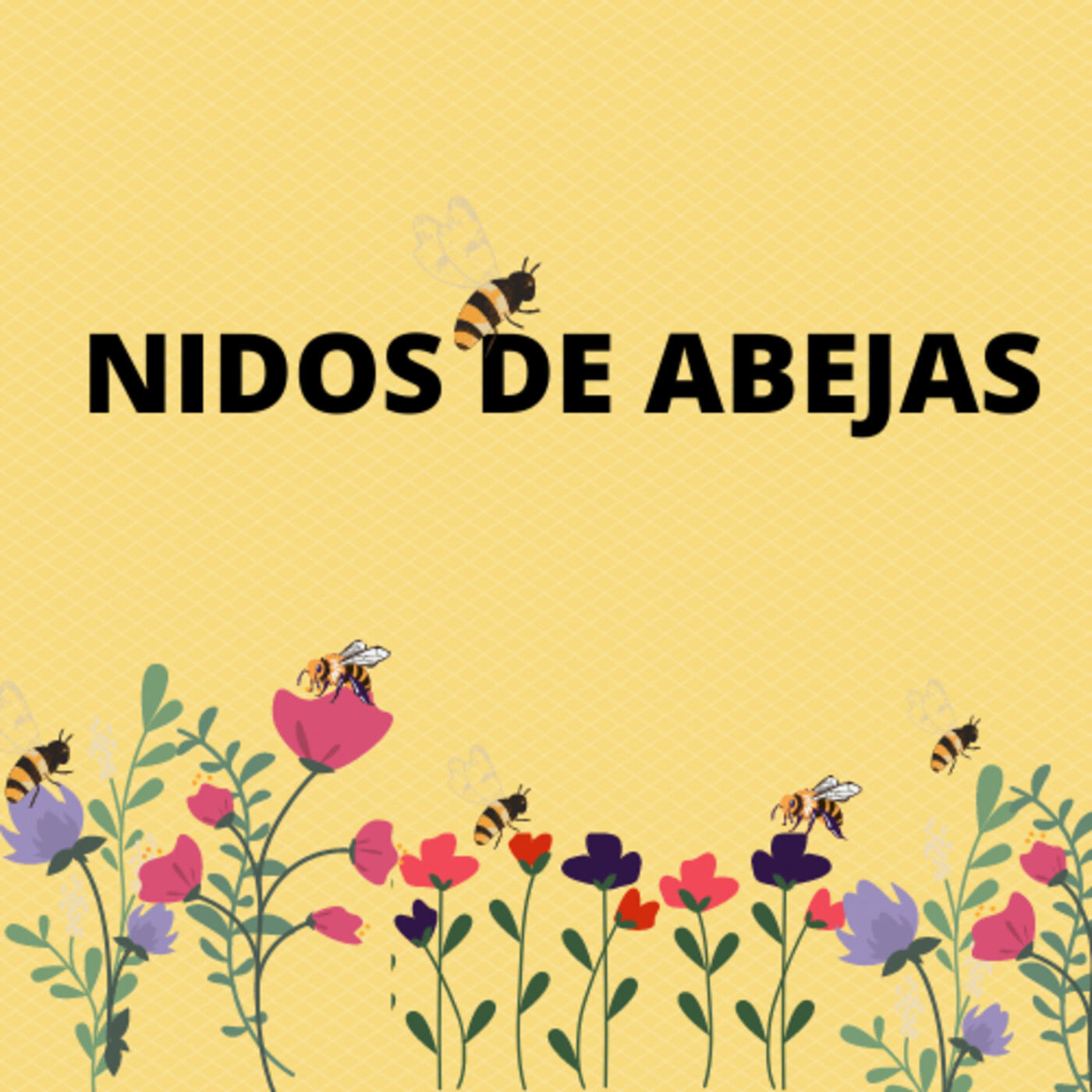 Vendo nubes de colores