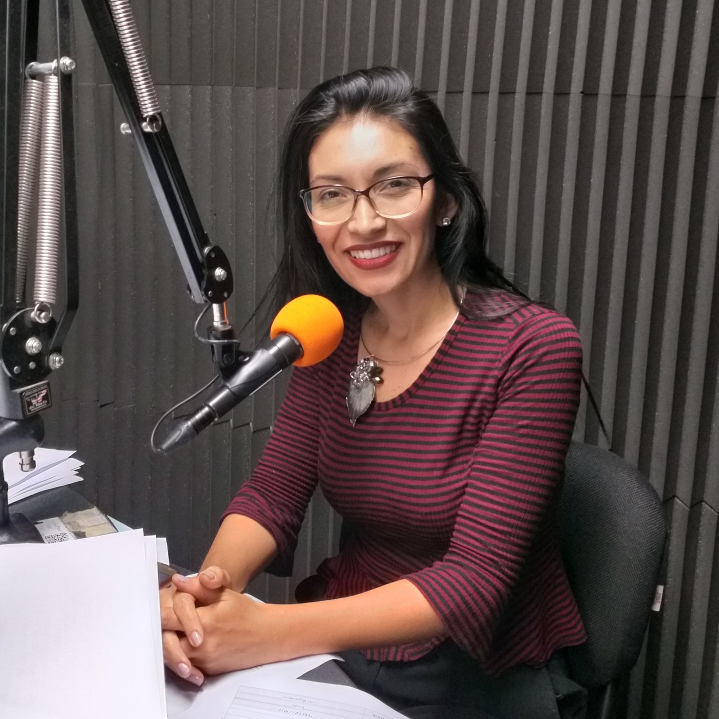 101.1 Noticias Al Aire