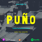 RD10 Puño y el Yangchuanosaurus