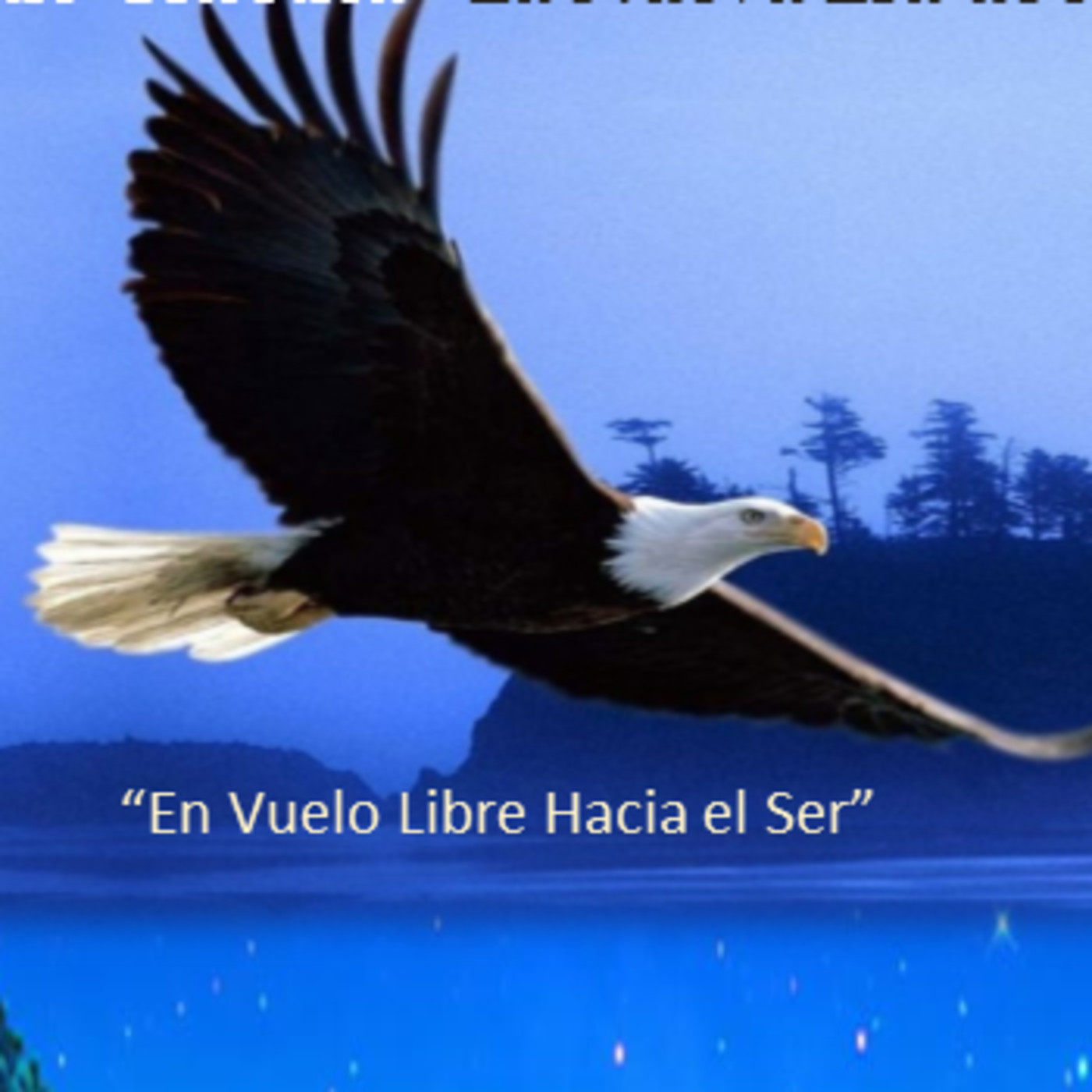 Preguntas y Respuestas I episode artwork