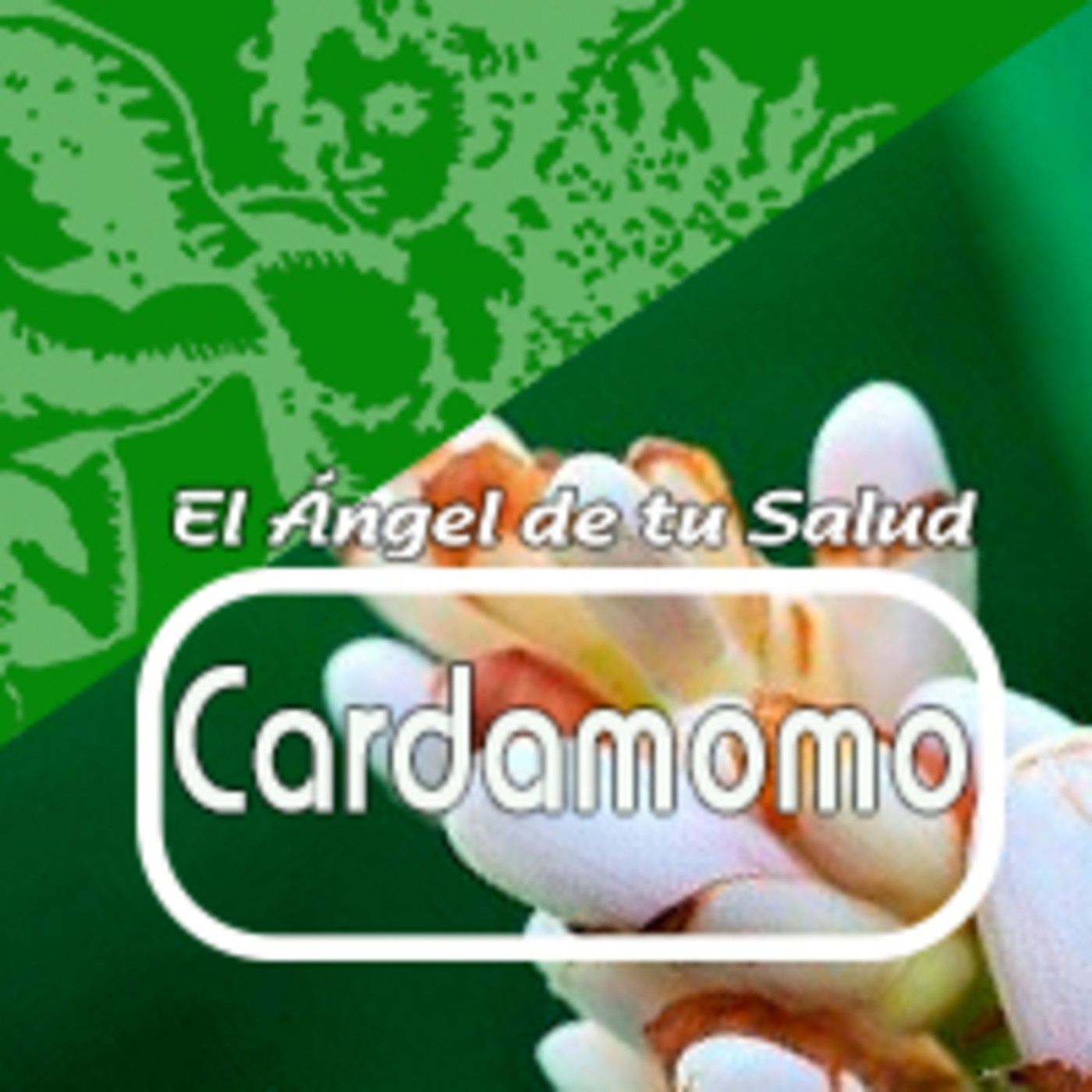 El Ángel de tu Salud - CARDAMOMO** episode artwork