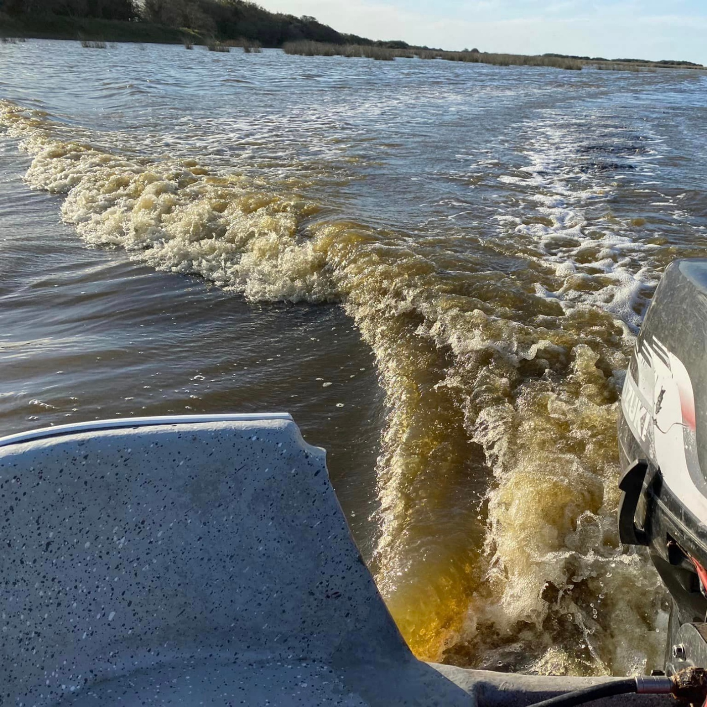 Planeta Pesca
