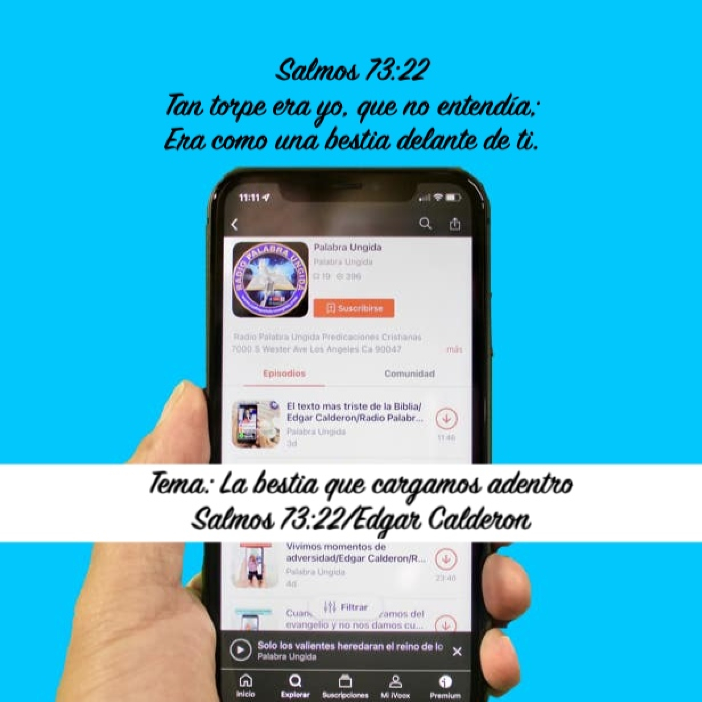 Tema/ La bestia que cargamos adentro/Salmos 73/22 episode artwork