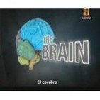 El Cerebro (1de2)