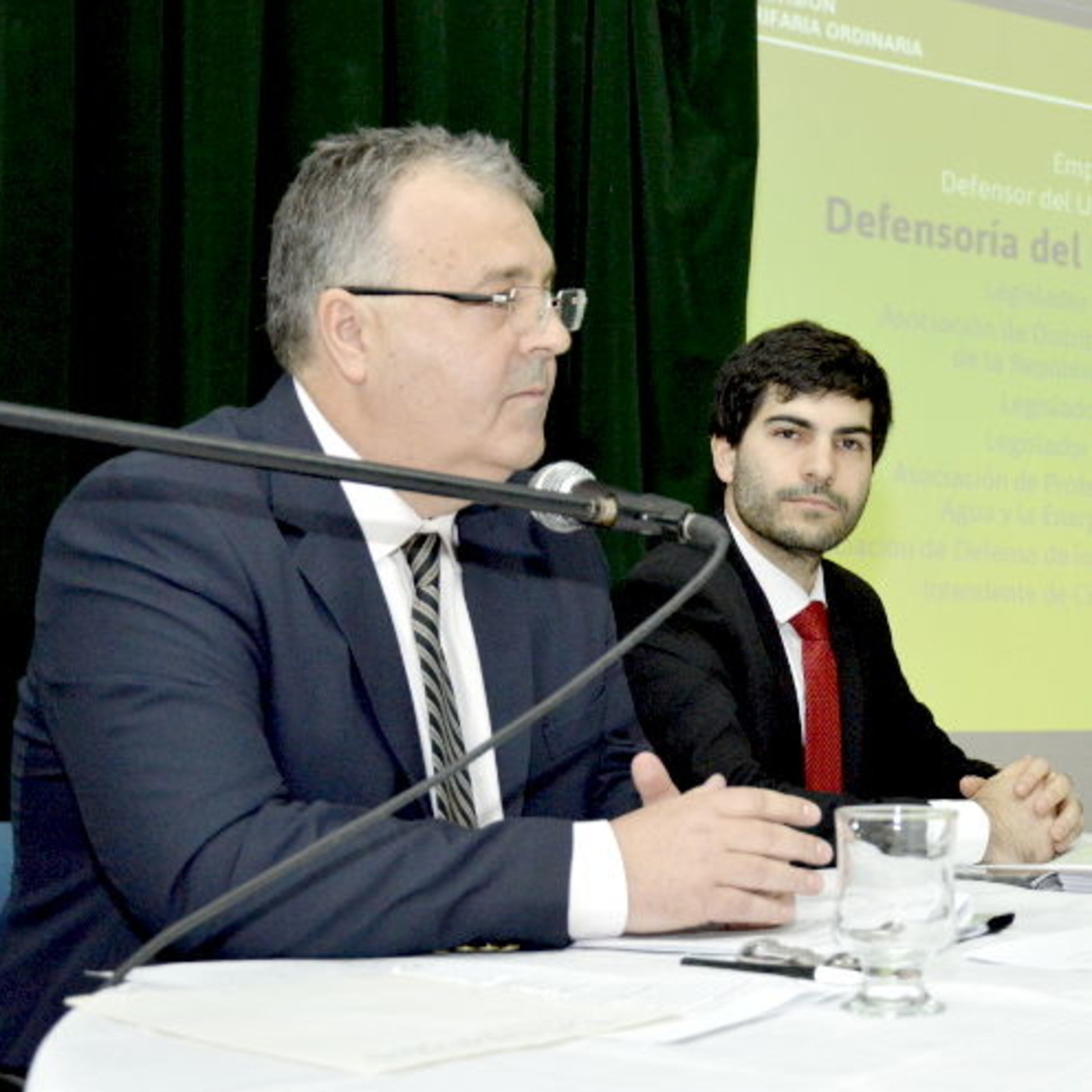Audiencia Pública 4° RTO EdERSA