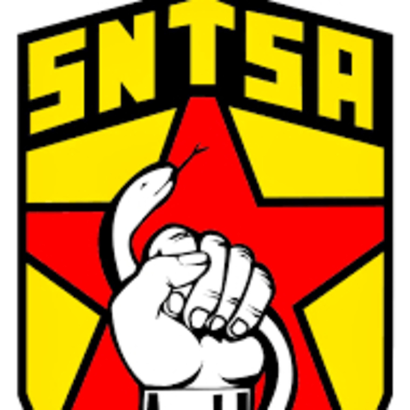 SNTSA Sección XXV