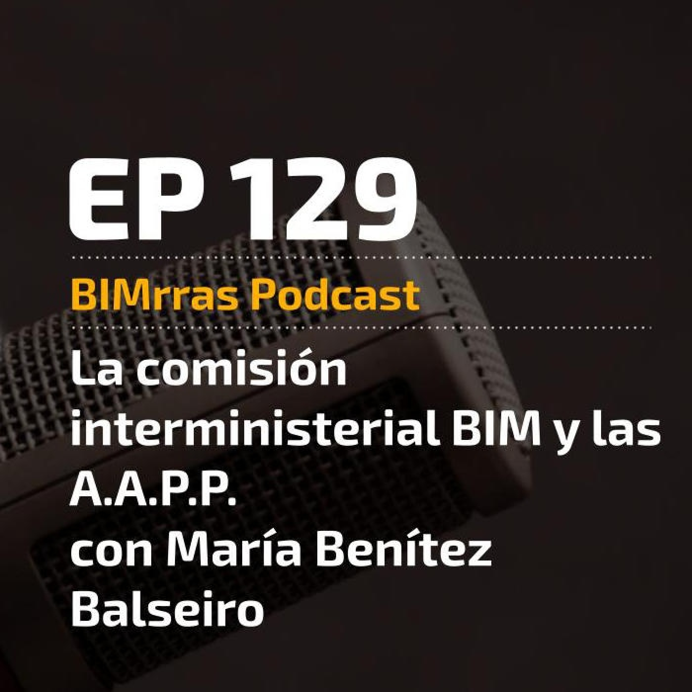 129 La comisión interministerial BIM, con María Benítez Balseiro