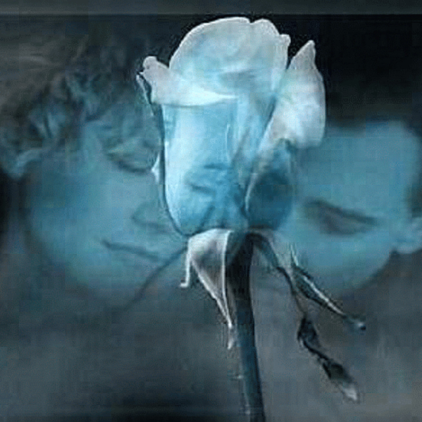 Audio Poemas de Tere Matthews