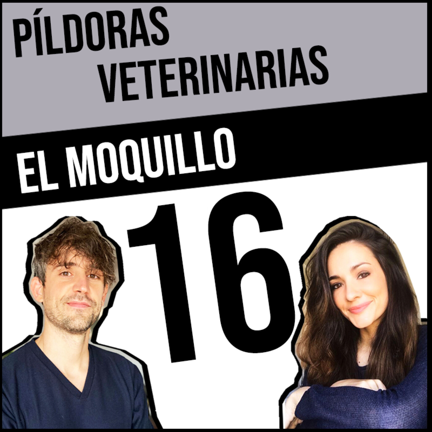 Píldoras Veterinarias